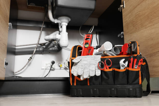 Best Emergency Plumber  in Lisle, IL