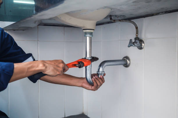 Best Commercial Plumbing Services  in Lisle, IL
