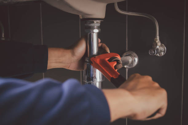 Best Local Plumber Services  in Lisle, IL